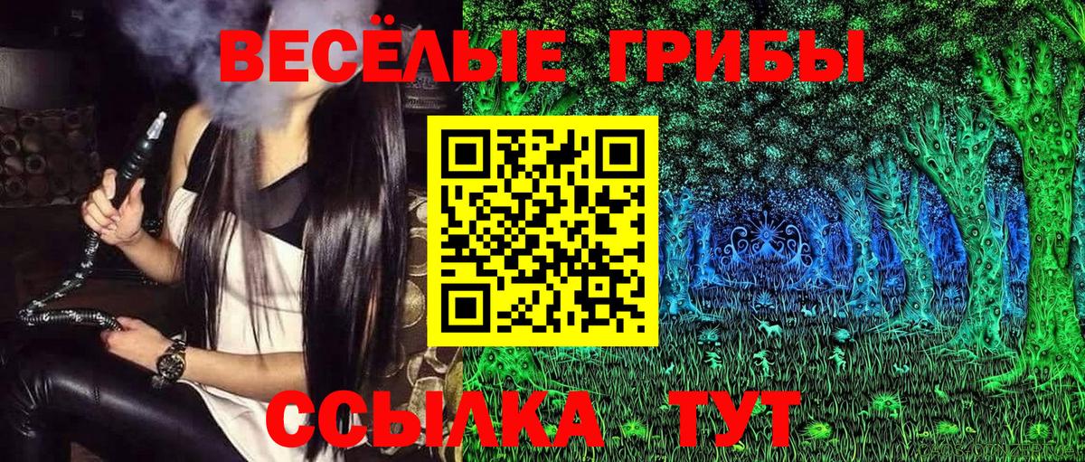Псилоцибиновые грибы Psilocybe Мурино