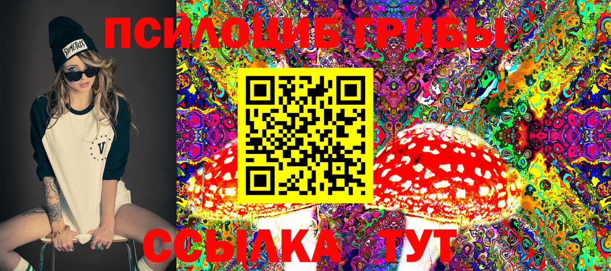Галлюциногенные грибы GOLDEN TEACHER  Вход с VPN  Мурино 